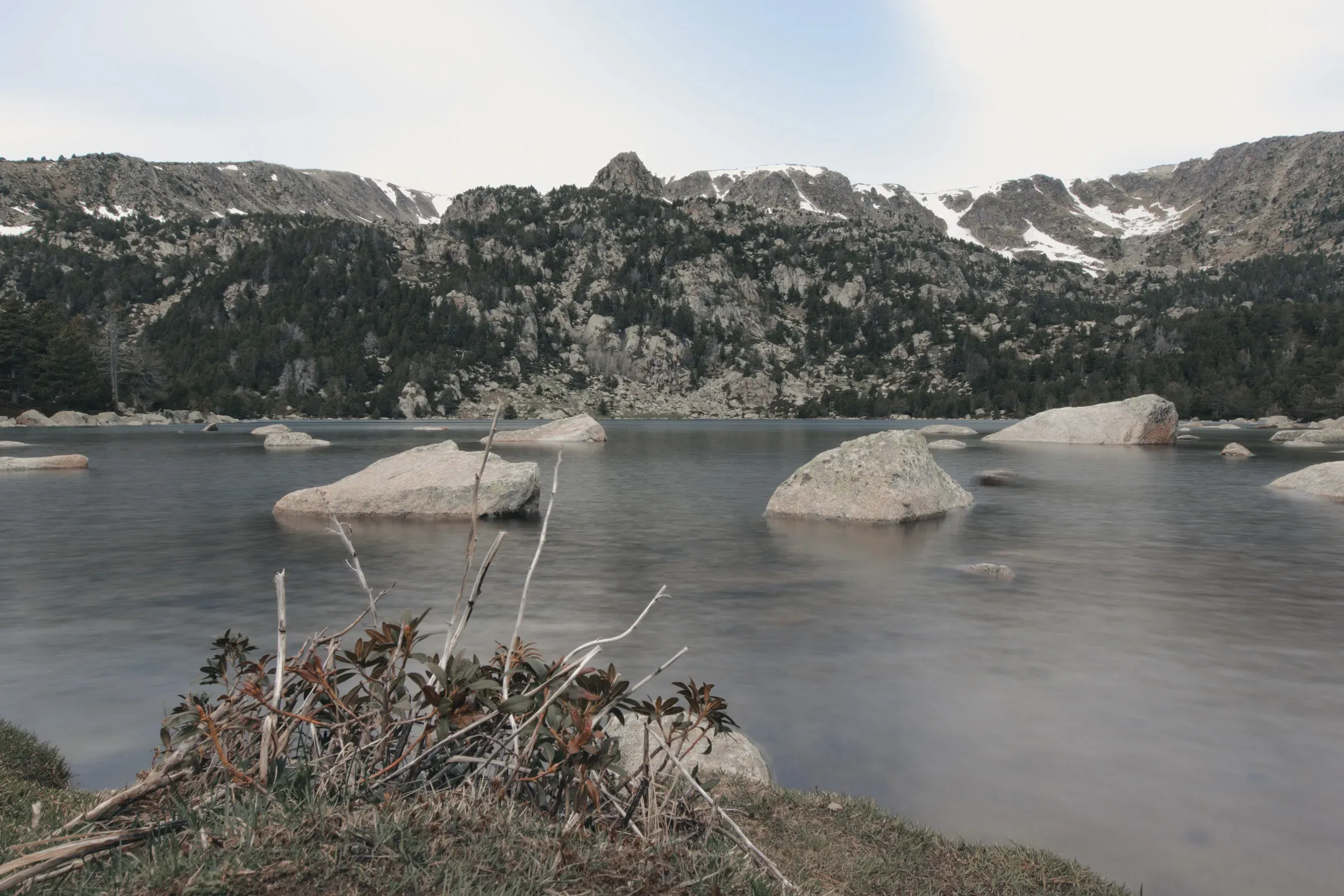 ORoma-BestBefore_26.webp